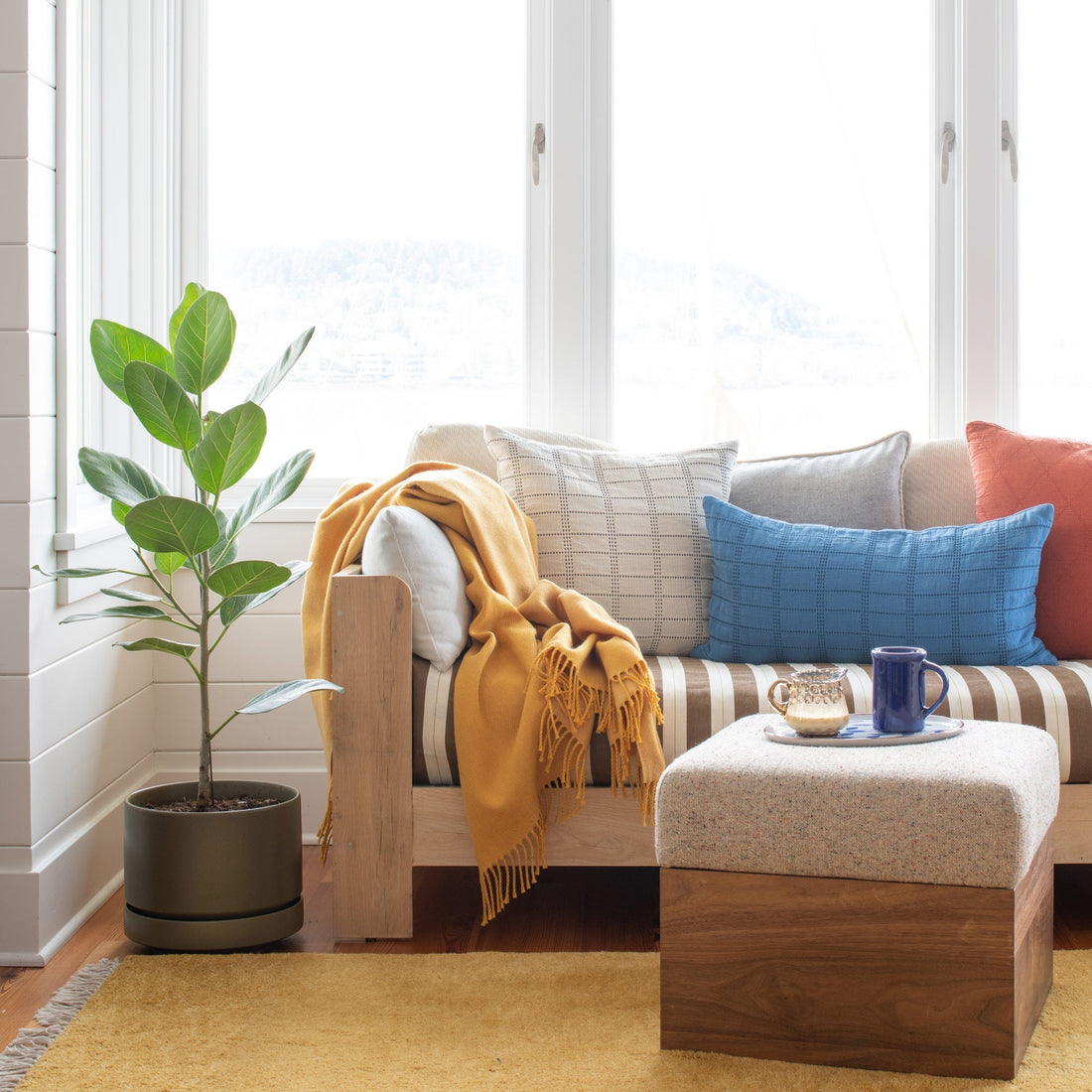 Potted fiddle leaf fig beside a wood-framed couch with mustard throw and colorful pillows in a bright windowed living room