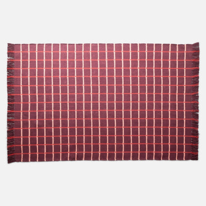 Top-down view of Cotton Grid Flatweave Rug showcasing large contrasting grid pattern and fringed edges on white background